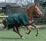 Rambo by Horseware Original Light Weight Turnout Horse Blanket