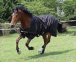 Rambo by Horseware XL Lightweight Turnout Horse Blanket