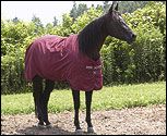 Rambo by Horseware Quarter Horse Medium Weight Turnout Horse Blanket