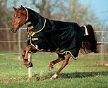 Rambo by Horseware Supreme Medium Weight Turnout Horse Blanket