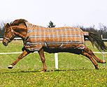 Rhino by Horseware Wug Heavy Turnout Horse Blanket Closeout