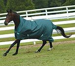Rhino by Horseware Pony Wug Lightweight Turnout Blanket