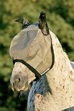 Horseware Rambo Flymask Best Price