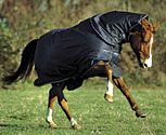 Amigo by Horseware Lightweight Turnout Horse Blanket