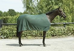 Rambo by Horseware Net Cooler