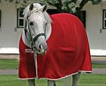 Amigo by Horseware Jersey Horse Cooler (2009 Colors)