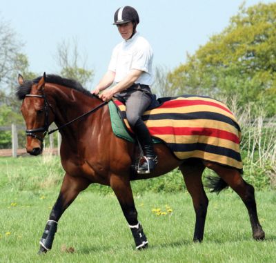 Rambo by Horseware Newmarket Competition Sheet