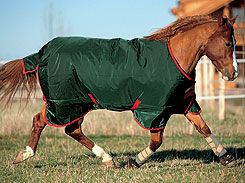 Rambo Turnout Tail Strap