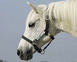 Rambo by Horseware Field Safe Halter