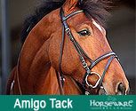 Amigo By Horseware Leather Bridle