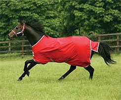 Amigo by Horseware 600D Lightweight Turnout Horse Blanket (2009 Colors)
