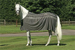 Amigo by Horseware Skrim Cooler