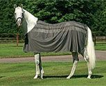 Amigo by Horseware Skrim Cooler