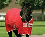 Amigo by Horseware Summer Horse Sheet (2009 Colors)