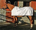Horseware Waterproof Horse Fly Sheet Liner