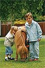 Horseware Kids Corrib Jacket