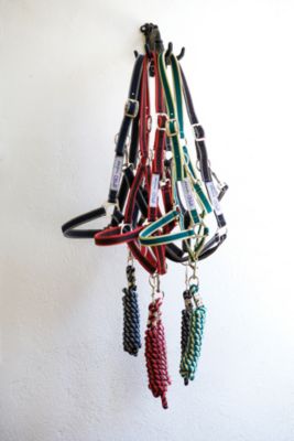 Amigo by Horseware Halter with Lead Rope