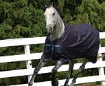Amigo by Horseware Medium Weight Turnout Pony Blanket