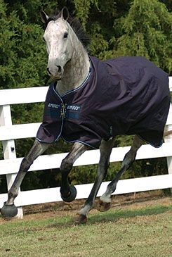 Amigo by Horseware Pony Light Weight Turnout Blanket