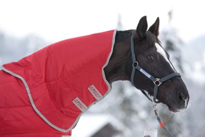 Amigo by Horseware 1200D Hood