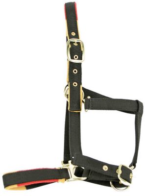 Rambo by Horseware Newmarket Halter