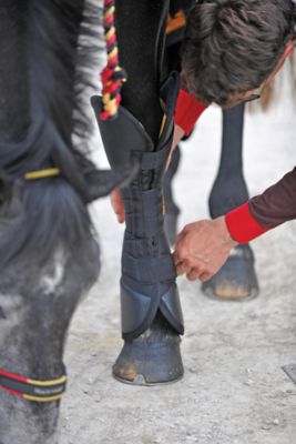 Rambo by Horseware Newmarket Travel Boots