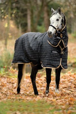 Rhino Plus by Horseware Heavy Weight Turnout Horse Blanket