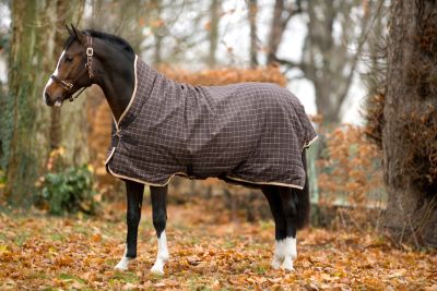 Rhino by Horseware Wug Turnout Horse Blanket Light