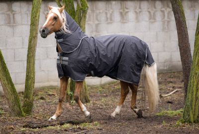 Amigo by Horseware Hero-6 Plus Medium Weight Turnout Horse Blanket Best Price