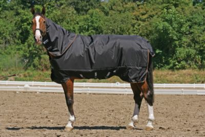 Rambo by Horseware XL Neck Cover