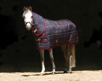 Amigo by Horseware Pony Medium Stable Blanket