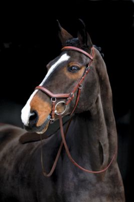 Rambo by Horseware Micklem Competition Bridle with Reins