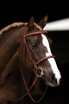 Amigo by Horseware Hunter Bridle