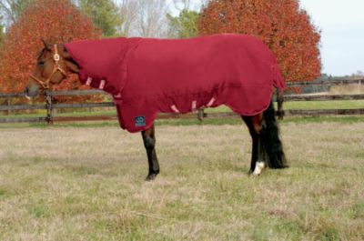 Rambo by Horseware QH Heavy Weight Turnout Horse Blanket::