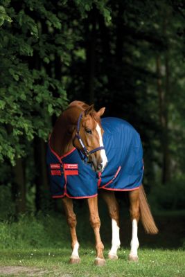 Horseware Amigo Mio Stable Sheet