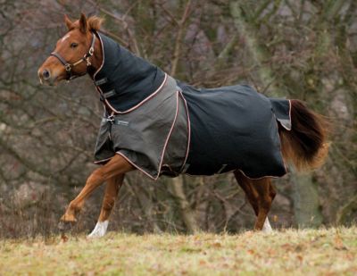 Rambo by Horseware Optimo Turnout Blanket System Best Price