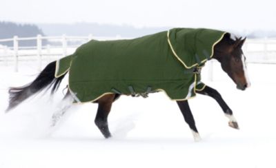 Rambo by Horseware Original Heavy Weight Turnout Horse Blanket 2010
