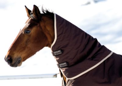 Rambo by Horseware Duo Neck Cover Best Price
