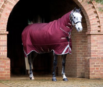 Rambo by Horseware Plus Heavy Weight Turnout Horse Blanket Best Price