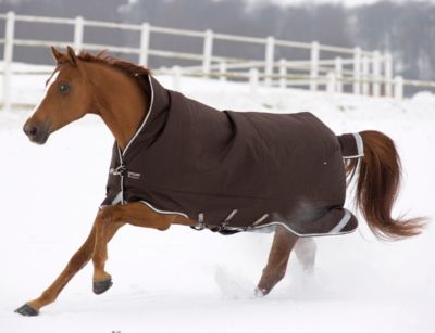 Rambo by Horseware Wug Heavy Weight Turnout Horse Blanket 2010