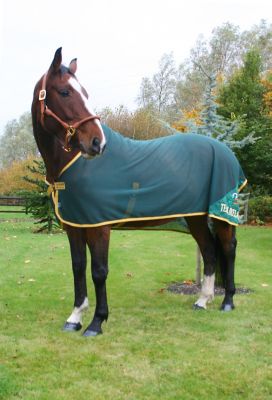 Horseware Team Ireland Net Cooler Best Price