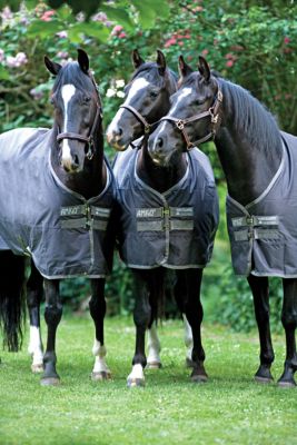Amigo Bravo-12 by Horseware  Pony Lightweight Turnout Blanket Best Price