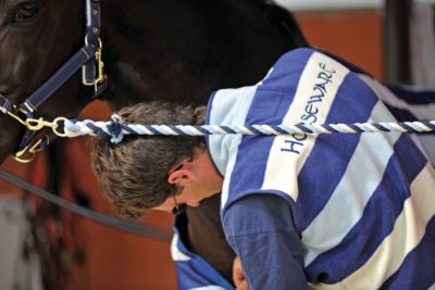 Rambo by Horseware Newmarket Cotton Lead Rope