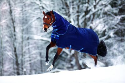 Amigo Bravo 12 Light/Medium Turnout Blanket Best Price