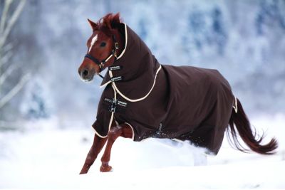 Amigo Bravo 12 Medium Turnout Blanket Fashion Colors Best Price