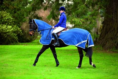 Amigo Fly Rider Best Price