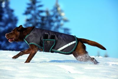 Amigo by Horseware 200gm Dog Blanket Best Price