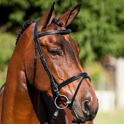 Horze Georgueze Bridle Best Price