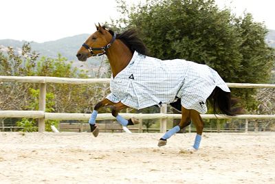 Horze Avalanche Lightweight Rain Sheet Best Price