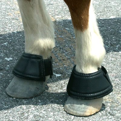 Intrepid Miniature Horse Velcro Neoprene Bell Boots